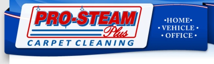 Pro-Steam Plus Carpet Cleaning