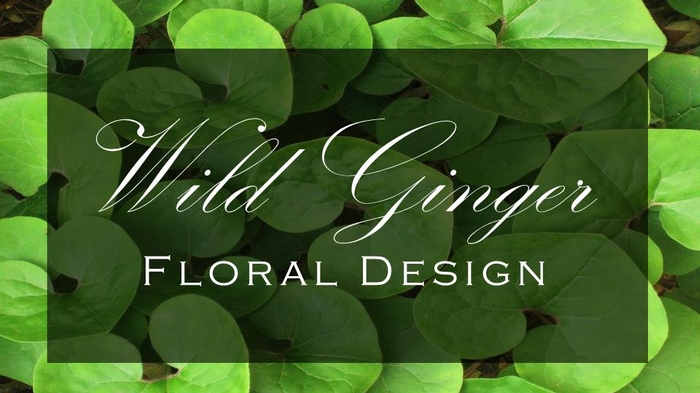 Wild Ginger Floral Design